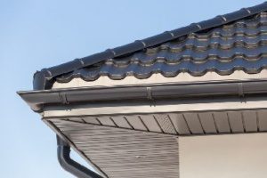 Everett gutter services